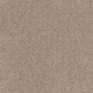 8133_16_additional image.jpg image